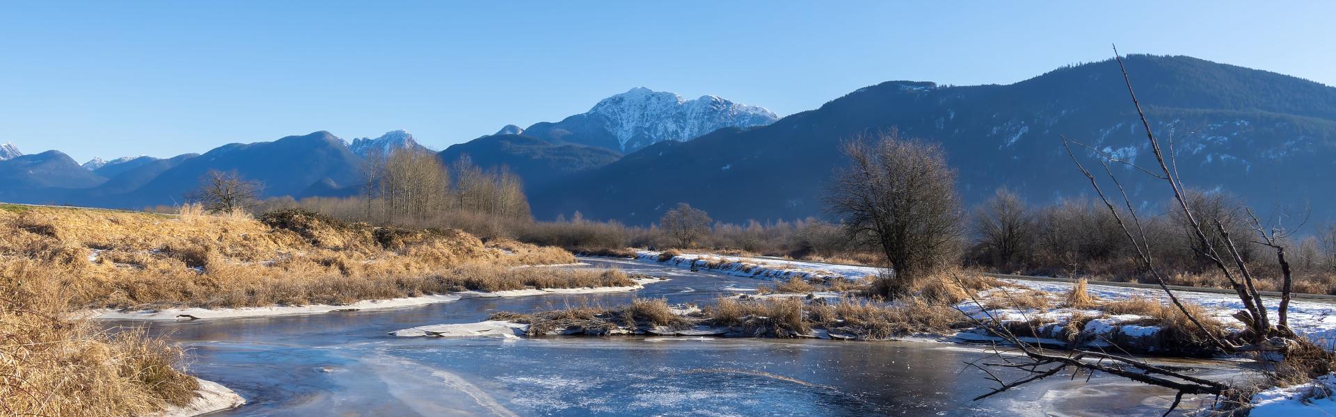 Winter scene of Pitt Meadows in sunshine with ice on the water