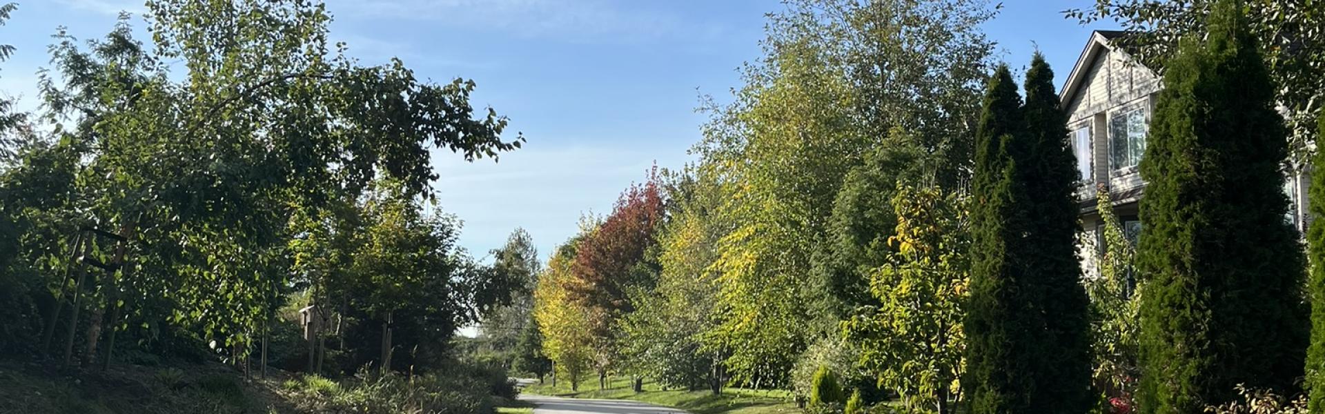Multi-use pathway on a sunny day