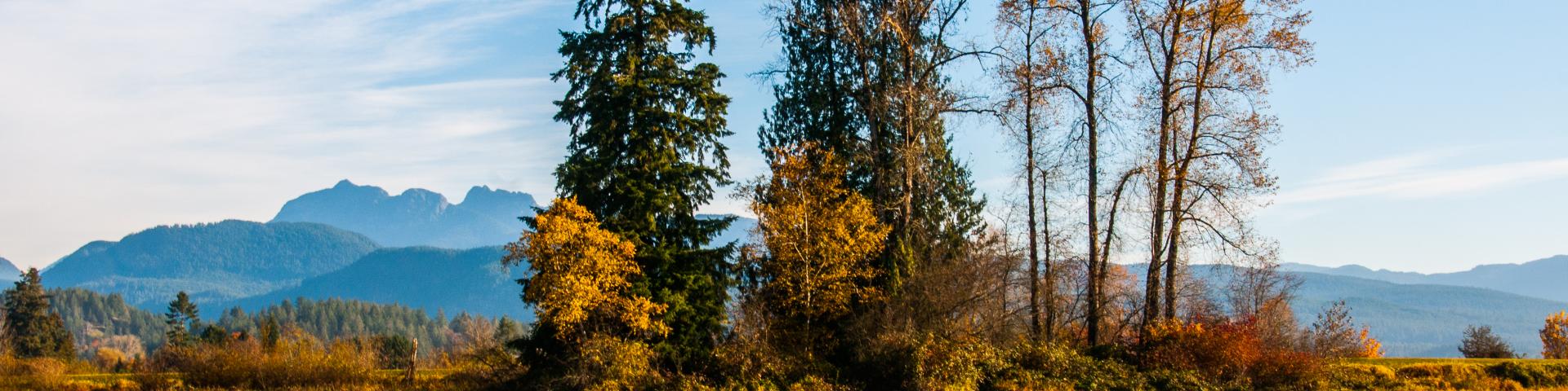 Pitt Meadows