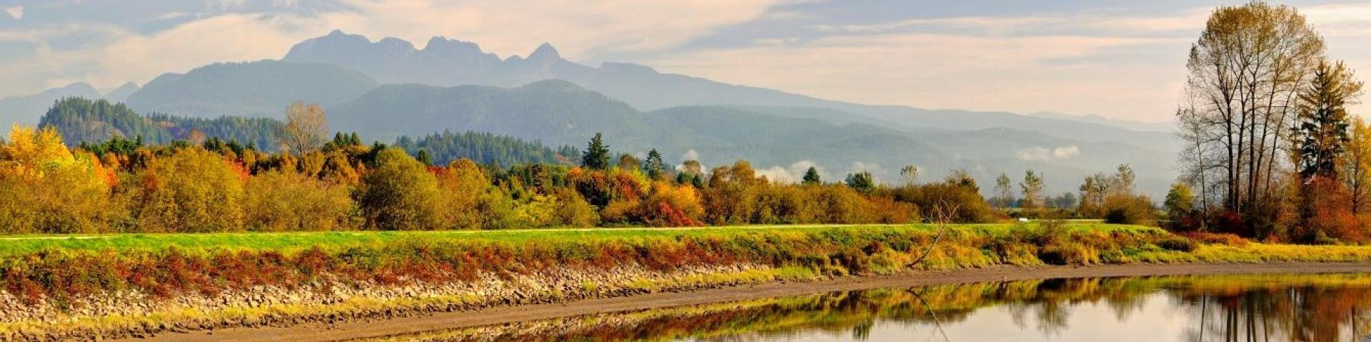 dike along waterway during fall season
