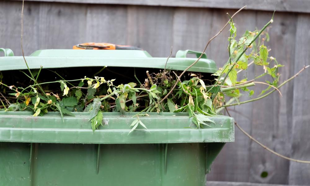 Gardening waste in a green bin