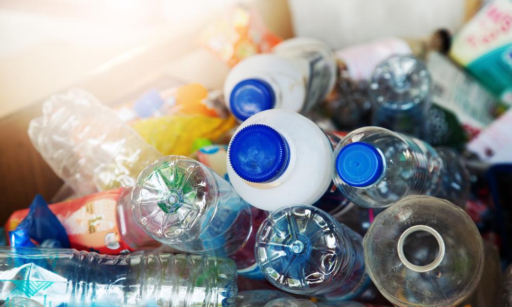 plastic bottles in a recycling bin