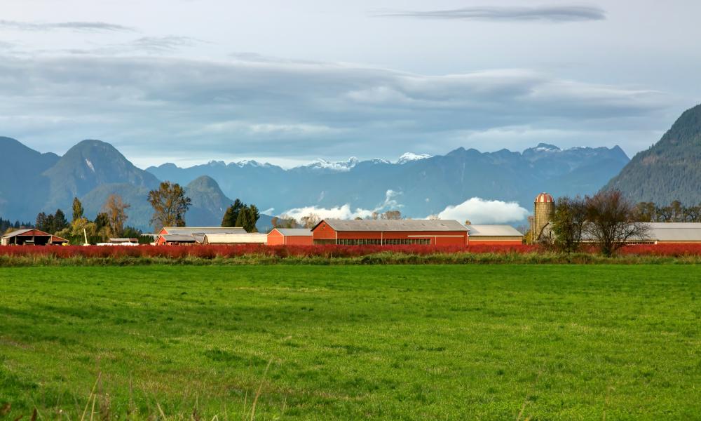 Red barn buildings on a large property of green grass, with mountains in the background