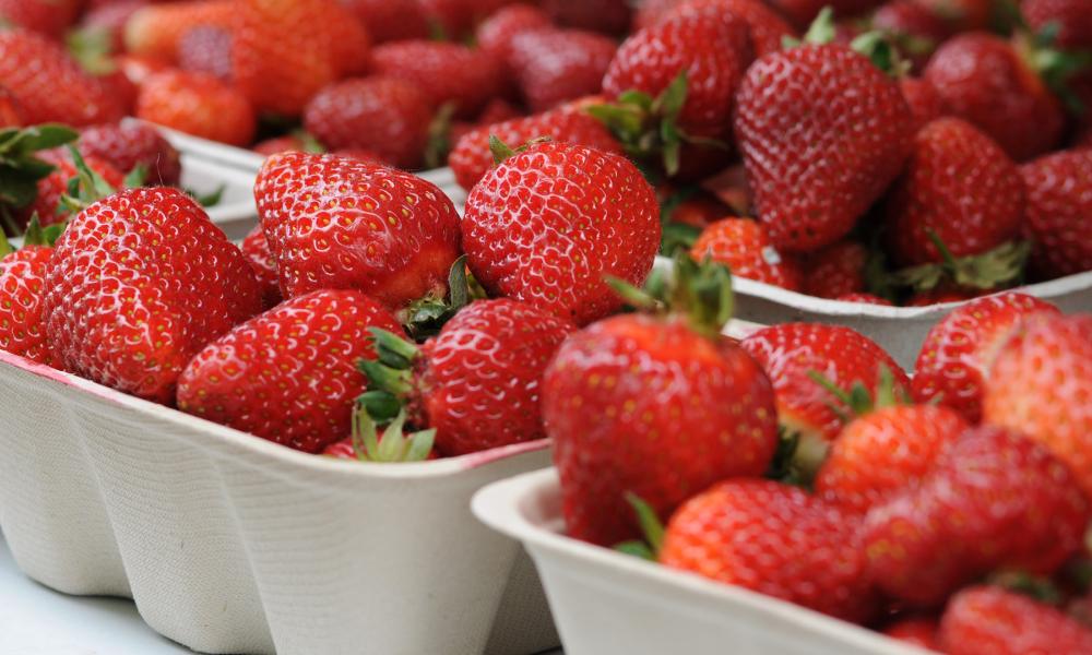 Close up image of strawberries in cartons