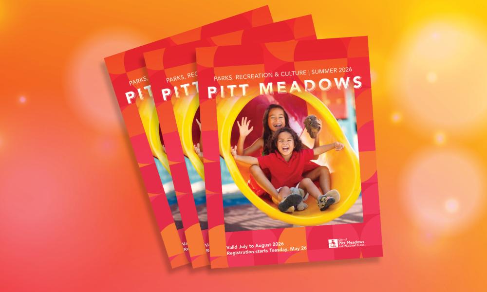 cover of program guide with image of kids on a slide