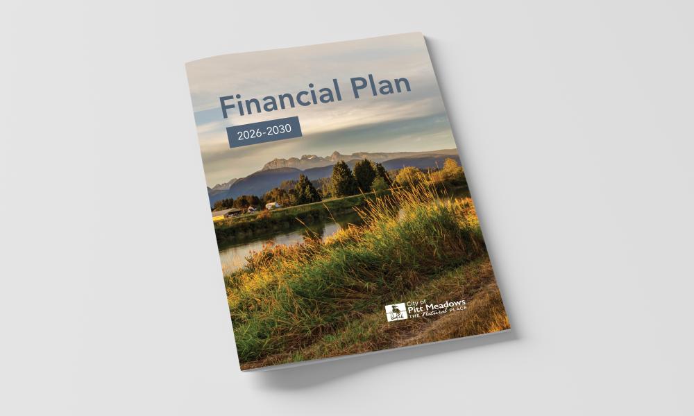 Cover of a report that says "Financial Plan 2026-2030"