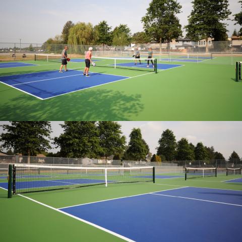 photo of newly resurfaced pickleball courts