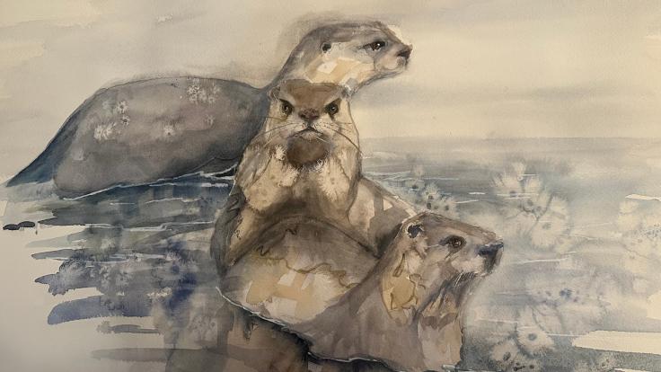 Watercolour of three otters in the water