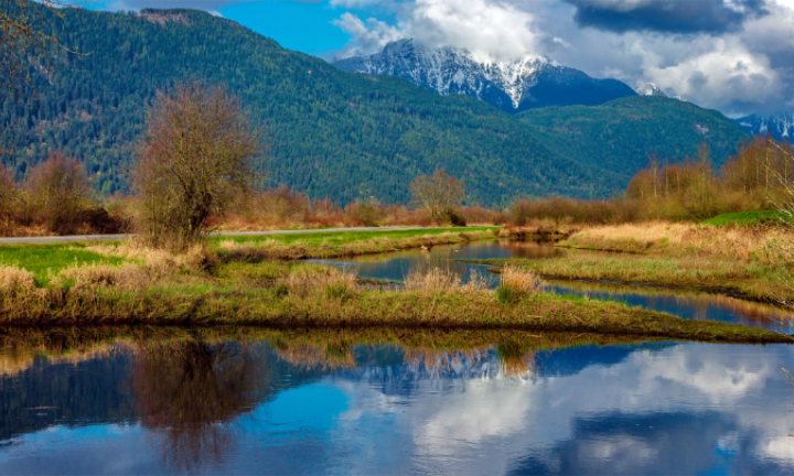 scenic water in pitt meadows